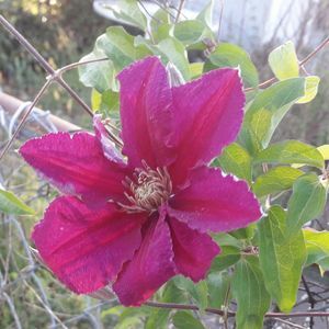 Meet your Posher, Stacy-marsha